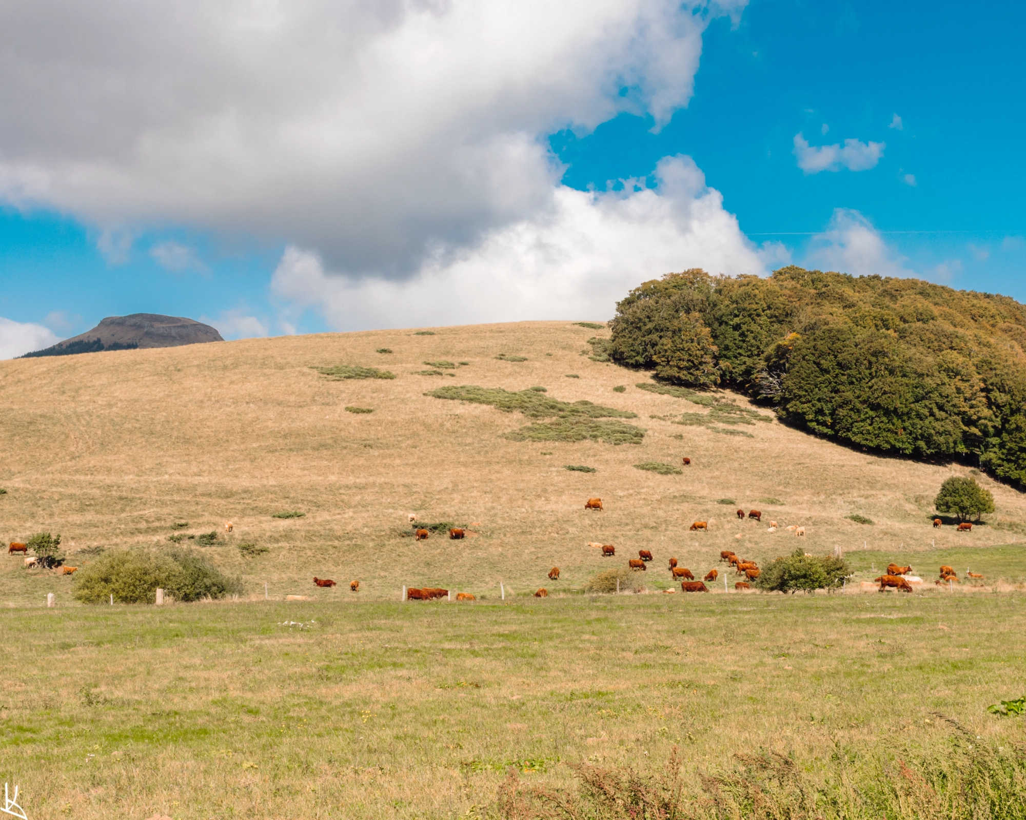 Depuis la baraque de Vassivière - Puy de Pertuyzat